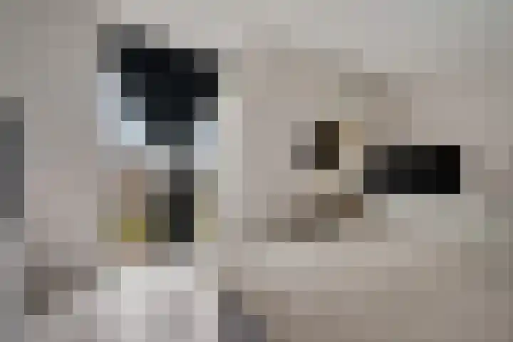 Pieter van Vollenhovenstraat 11 Leusden thumbnail 11
