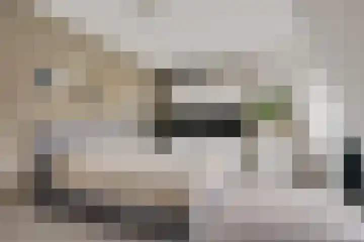 Pieter van Vollenhovenstraat 11 Leusden thumbnail 12