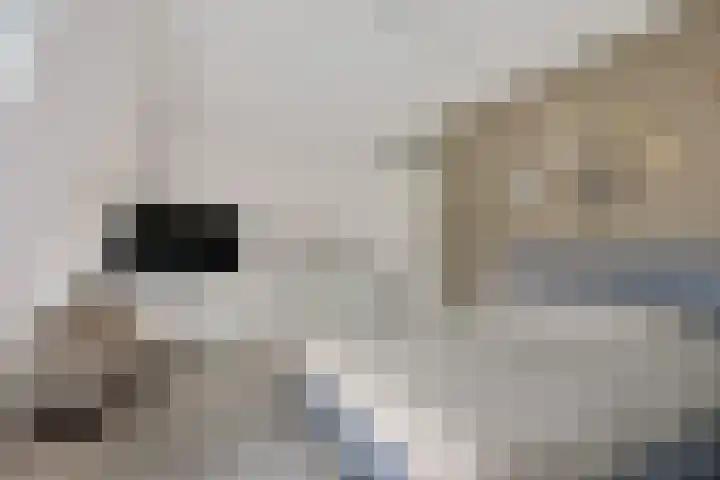 Pieter van Vollenhovenstraat 11 Leusden thumbnail 13