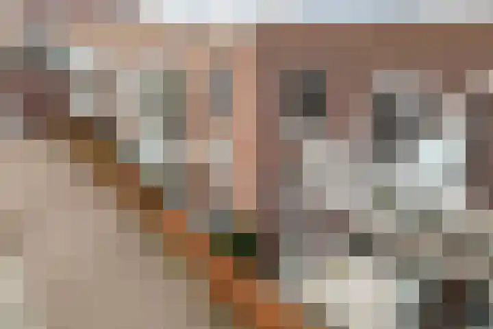 Pieter van Vollenhovenstraat 11 Leusden thumbnail 18