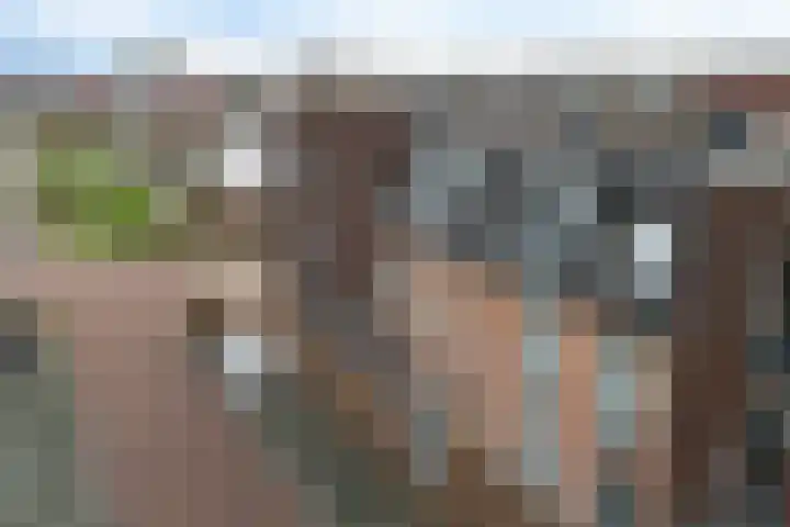 Pieter van Vollenhovenstraat 11 Leusden thumbnail 21