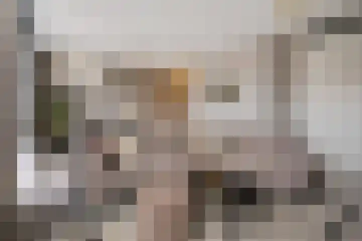 Pieter van Vollenhovenstraat 11 Leusden thumbnail 4