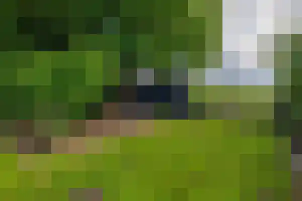 Pieter Venemakade 107 Kiel-Windeweer thumbnail 31