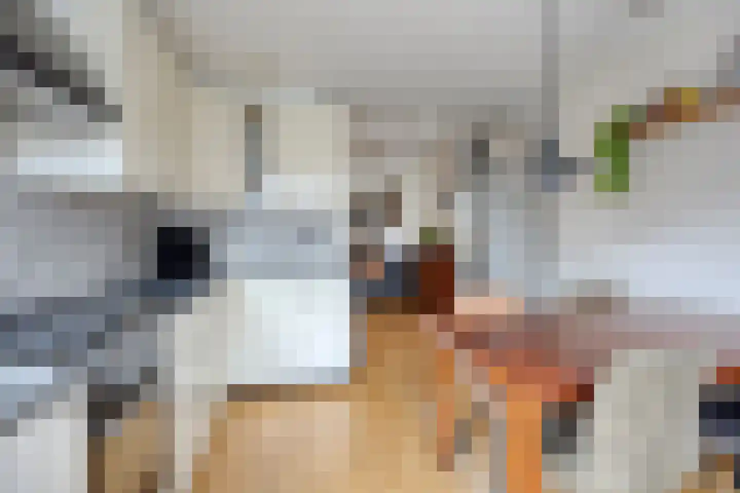 Pieter Verweijweg 15 Hoek van Holland thumbnail 17