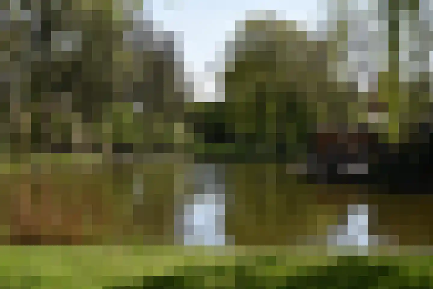 Pieter Verweijweg 15 Hoek van Holland thumbnail 58