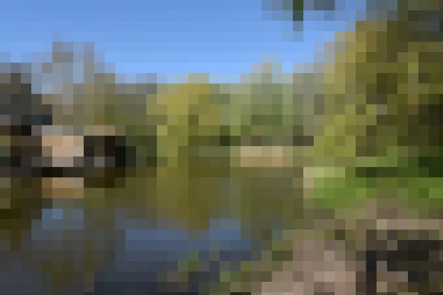 Pieter Verweijweg 15 Hoek van Holland thumbnail 59