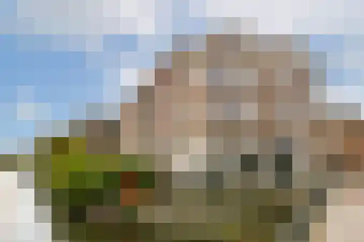 Pieter Vlamingstraat 129 Amsterdam thumbnail 24