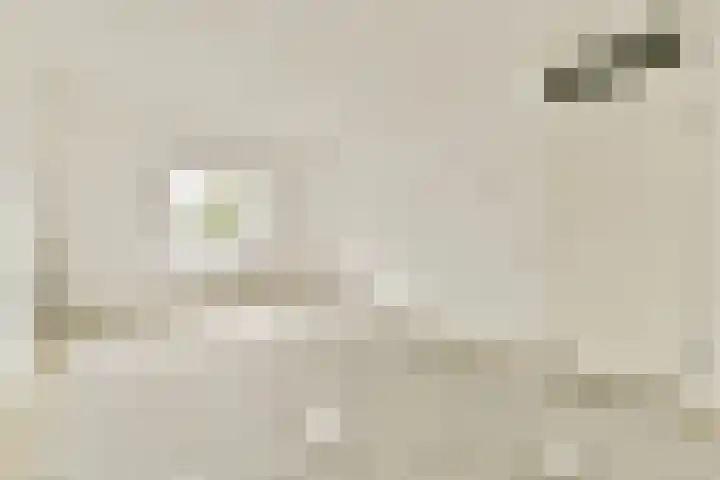Pieter Vlamingstraat 137 Amsterdam thumbnail 5
