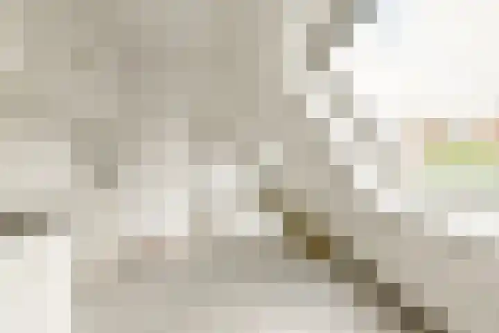Pieter Vlamingstraat 137 Amsterdam thumbnail 7