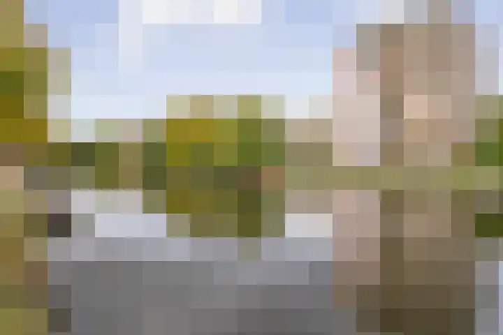 Pieter Vlamingstraat 20 1 Amsterdam thumbnail 25