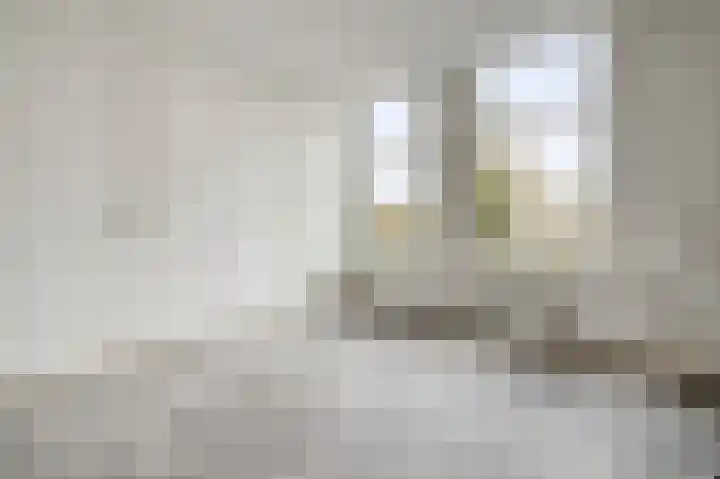 Pieter Vlamingstraat 20 1 Amsterdam thumbnail 4