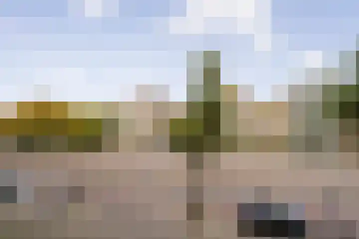 Pieter Vlamingstraat 20 1 Amsterdam thumbnail 5