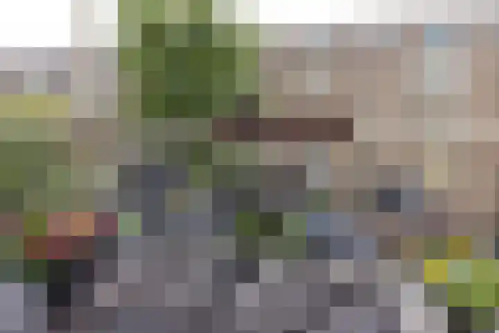 Pieter Vlamingstraat 24 2 Amsterdam thumbnail 18