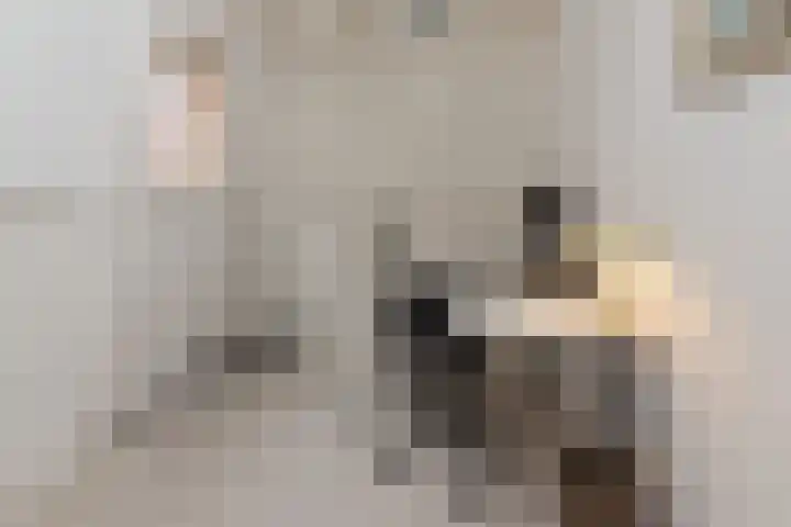 Pieter Vlamingstraat 24 2 Amsterdam thumbnail 19