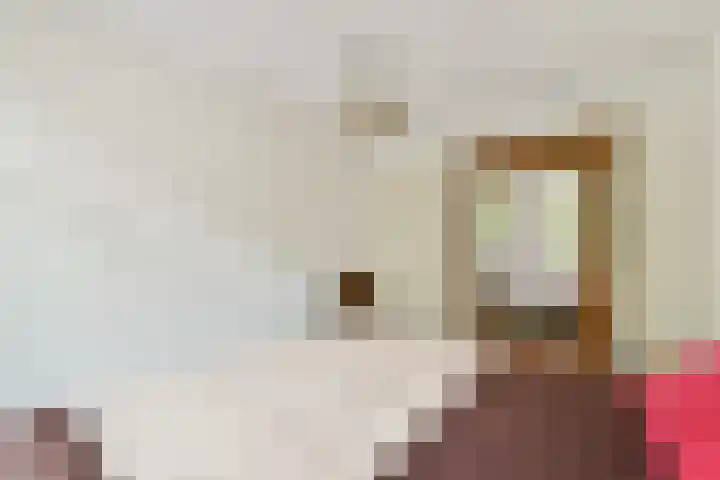 Pieter Vlamingstraat 34 2 Amsterdam thumbnail 14
