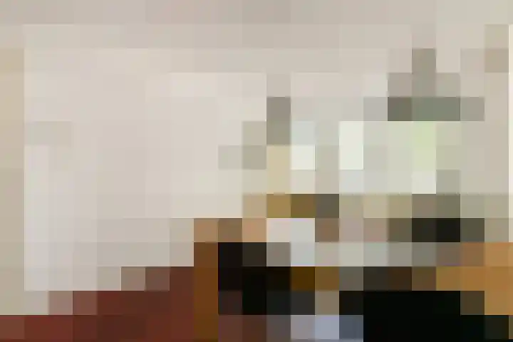 Pieter Vlamingstraat 34 2 Amsterdam thumbnail 6