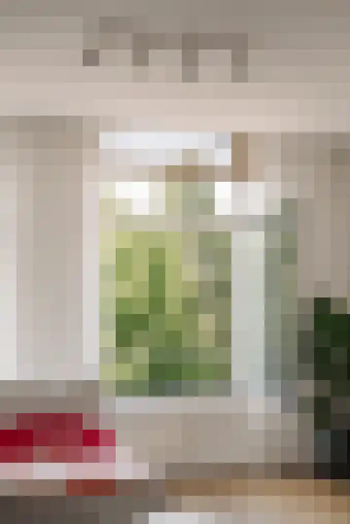 Pieter Vlamingstraat 58 3 Amsterdam thumbnail 10