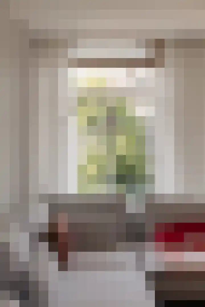 Pieter Vlamingstraat 58 3 Amsterdam thumbnail 7