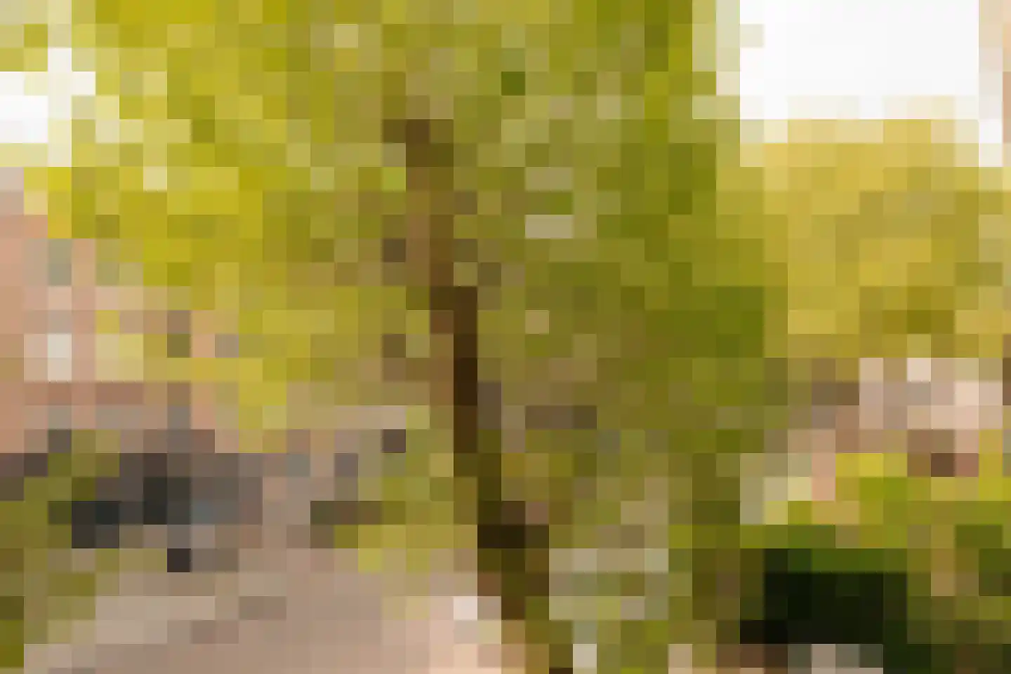 Pieter Vlamingstraat 7 B Amsterdam thumbnail 9