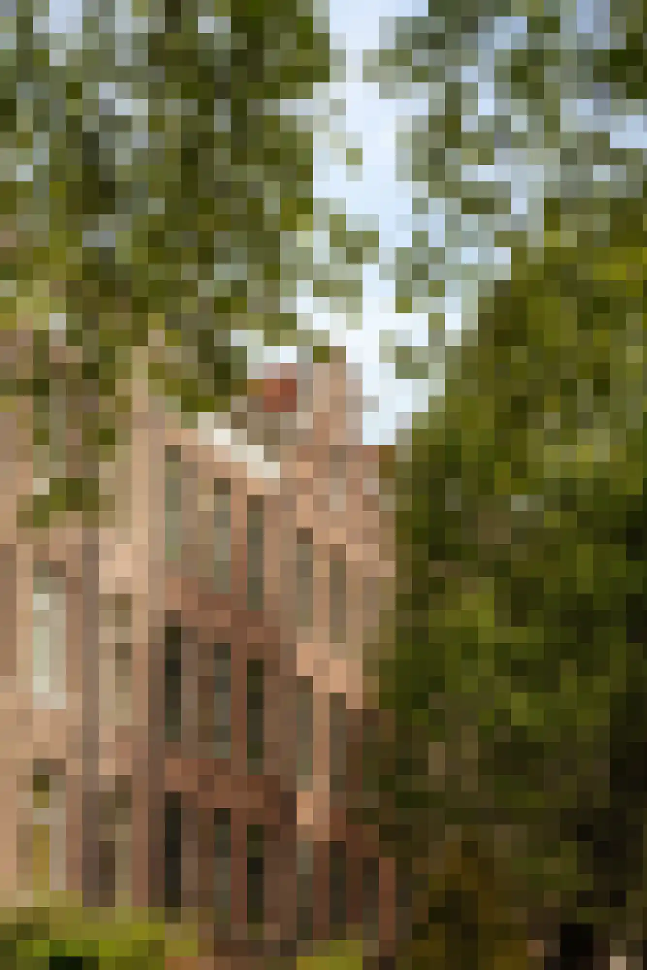 Pieter Vlamingstraat 7 C Amsterdam thumbnail 19