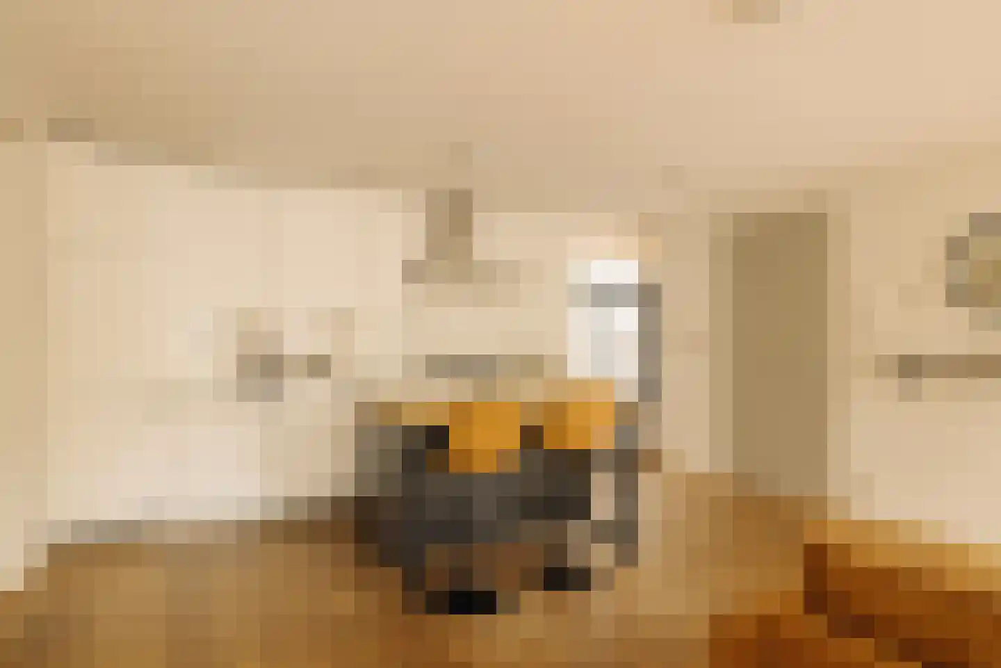Pieter Vlamingstraat 7 C Amsterdam thumbnail 4
