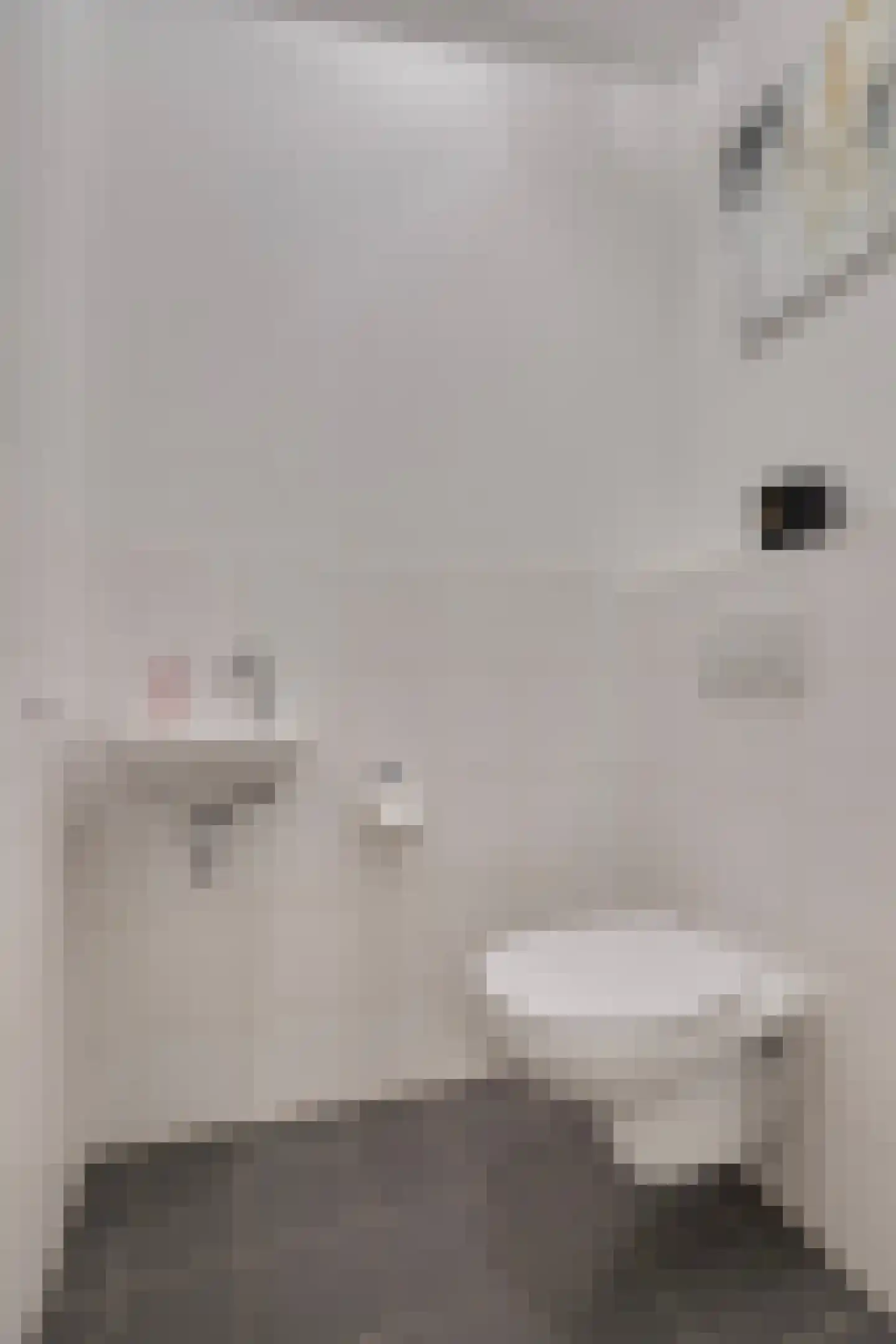 Pieter Vreedeplein 110 Tilburg thumbnail 13