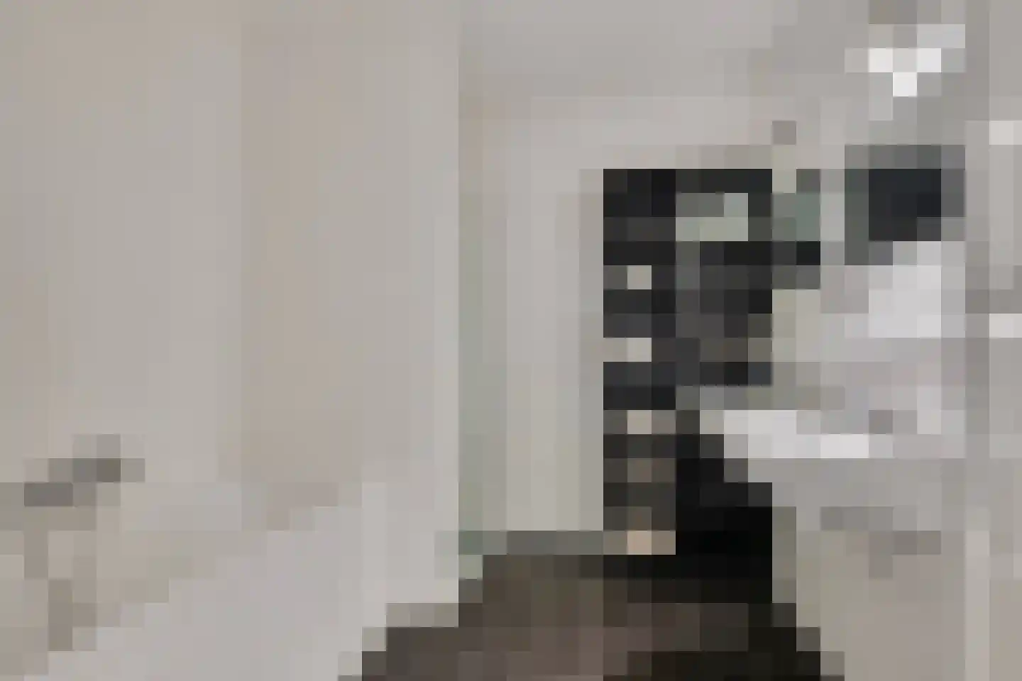 Pieter Vreedeplein 110 Tilburg thumbnail 21