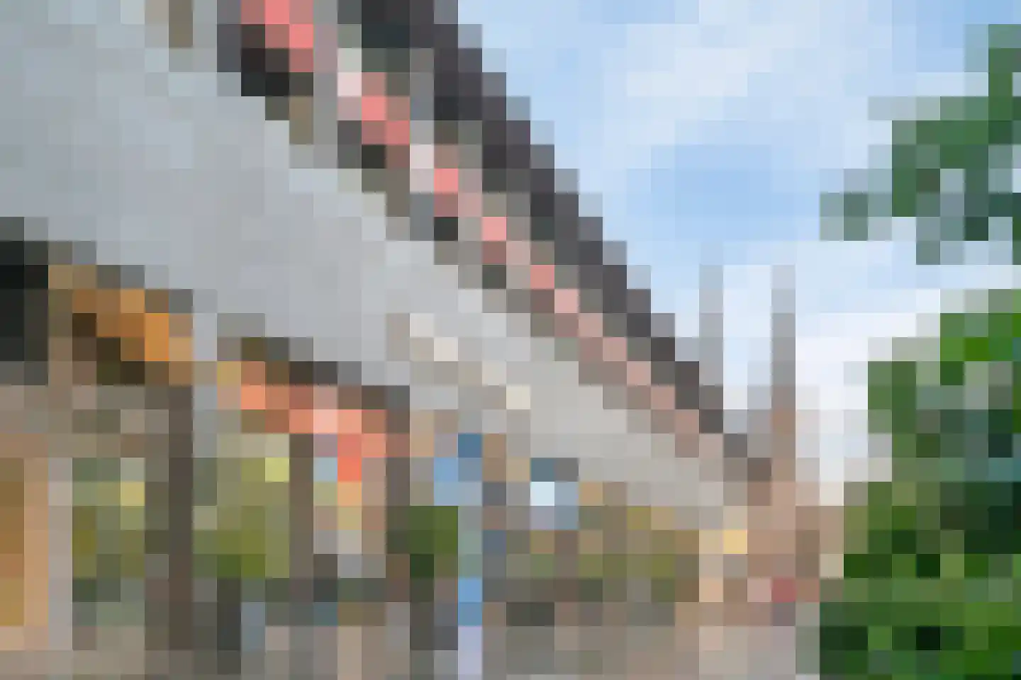 Pieter Vreedeplein 110 Tilburg thumbnail 29