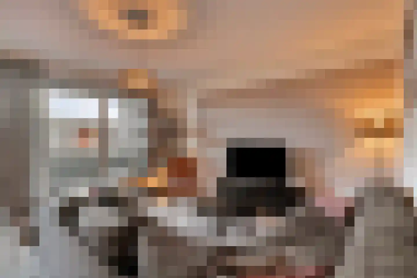 Pieter Vreedeplein 110 Tilburg thumbnail 4