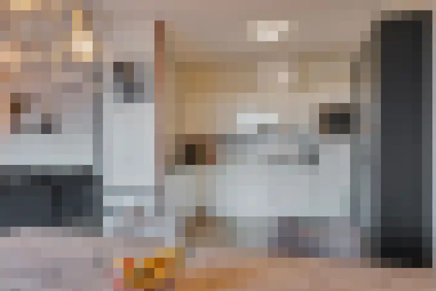 Pieter Vreedeplein 110 Tilburg thumbnail 8