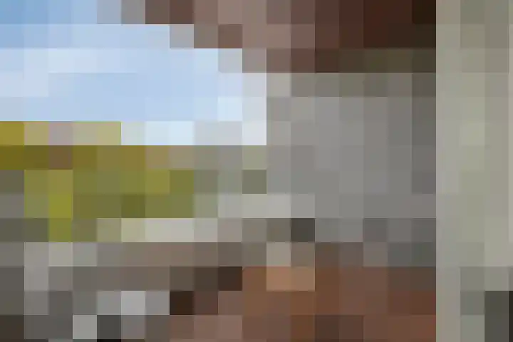 Pieter Vreedeplein 134 Tilburg thumbnail 16