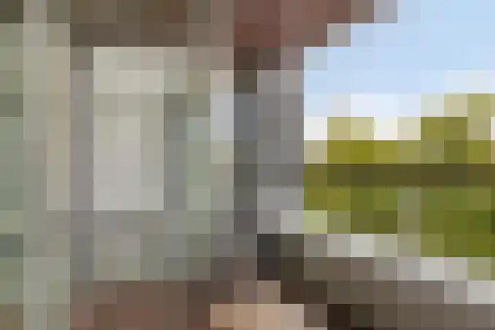 Pieter Vreedeplein 134 Tilburg thumbnail 17