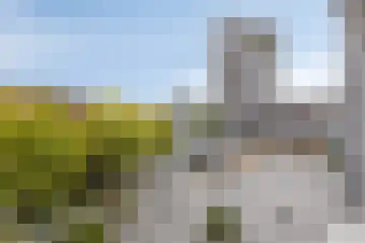 Pieter Vreedeplein 134 Tilburg thumbnail 18
