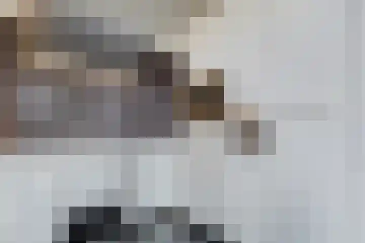 Pieter Vreedeplein 134 Tilburg thumbnail 19