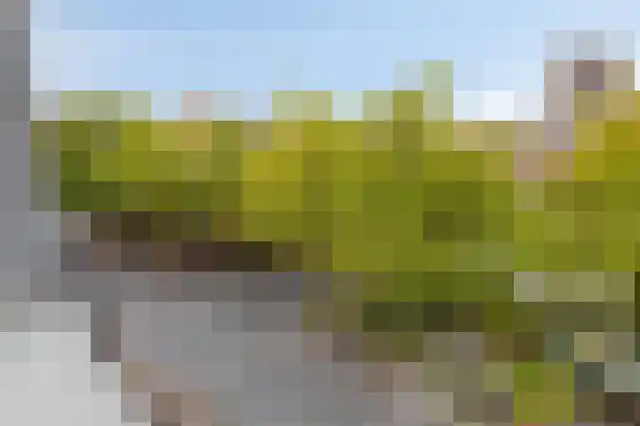 Pieter Vreedeplein 134 Tilburg thumbnail 20
