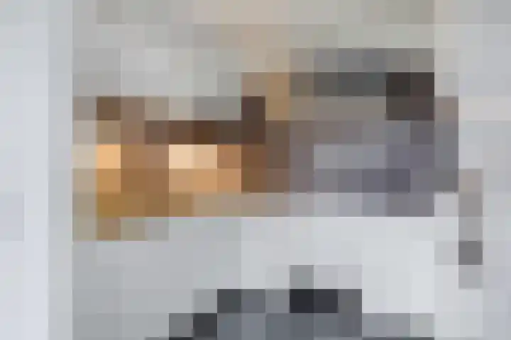 Pieter Vreedeplein 134 Tilburg thumbnail 23