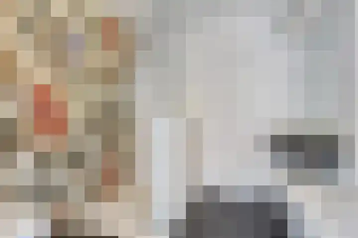 Pieter Vreedeplein 134 Tilburg thumbnail 27