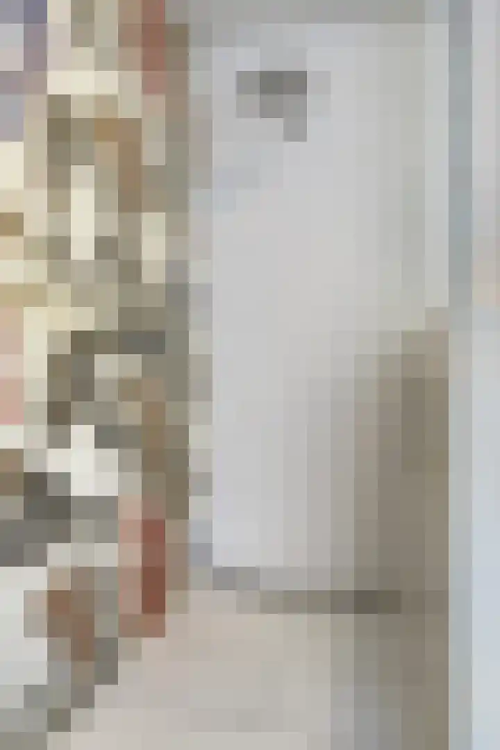 Pieter Vreedeplein 134 Tilburg thumbnail 29