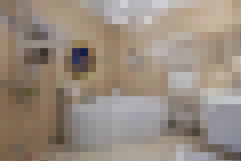 Pieter Vreedeplein 137 Tilburg thumbnail 10