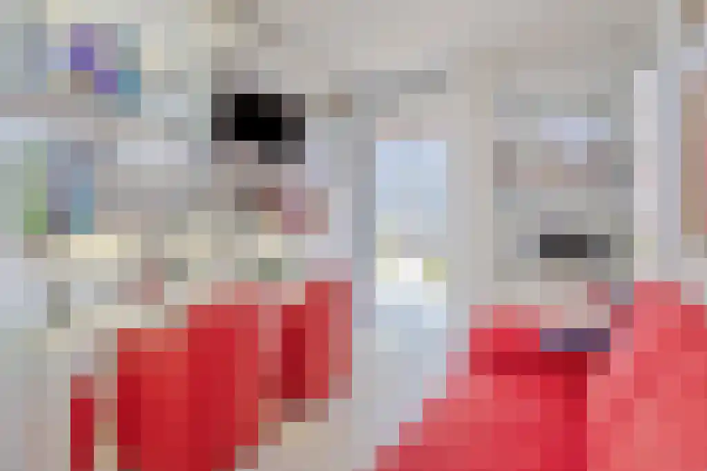 Pieter Vreedeplein 137 Tilburg thumbnail 11