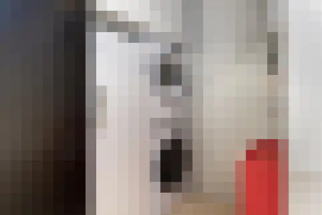 Pieter Vreedeplein 137 Tilburg thumbnail 12