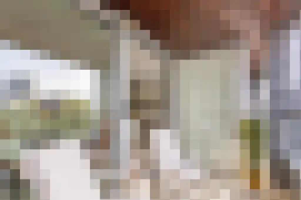Pieter Vreedeplein 137 Tilburg thumbnail 13