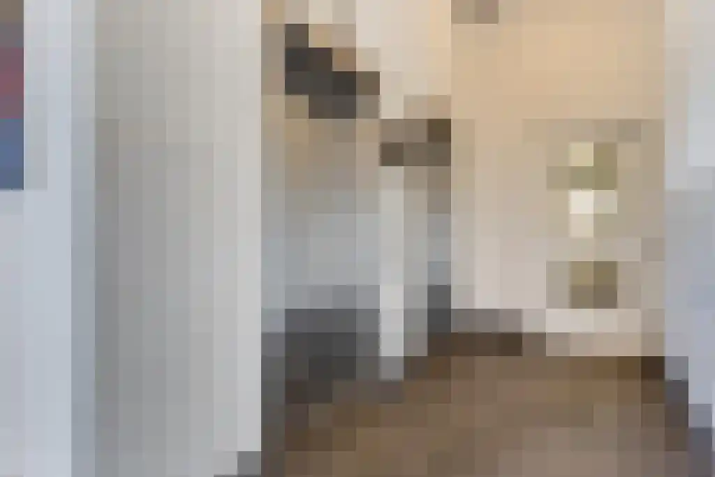 Pieter Vreedeplein 137 Tilburg thumbnail 16