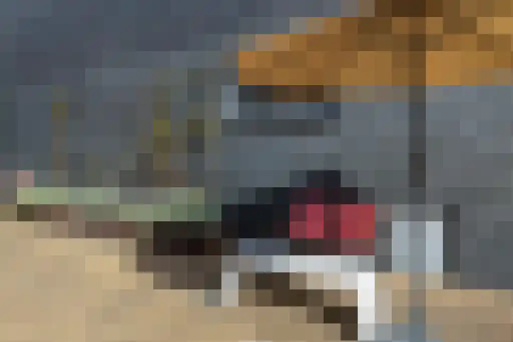 Pieter Vreedeplein 137 Tilburg thumbnail 17