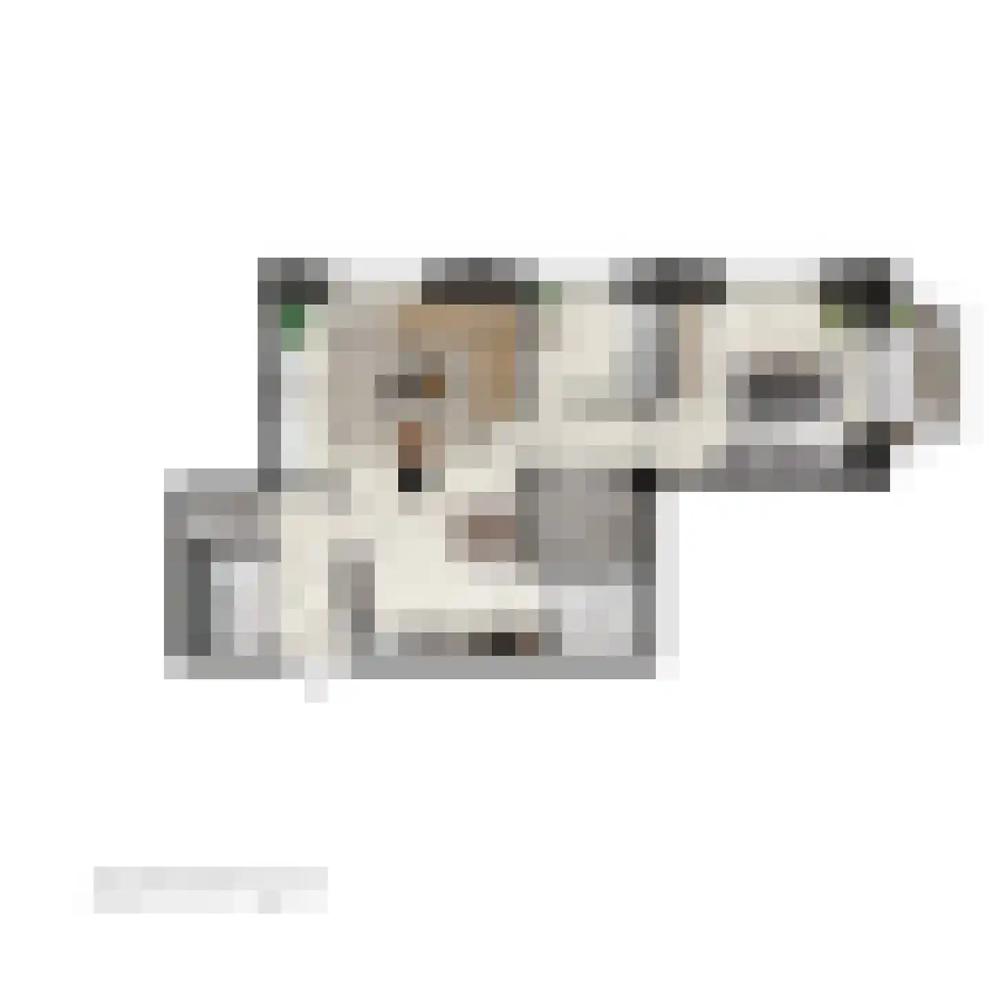 Pieter Vreedeplein 20 48 Tilburg thumbnail 5