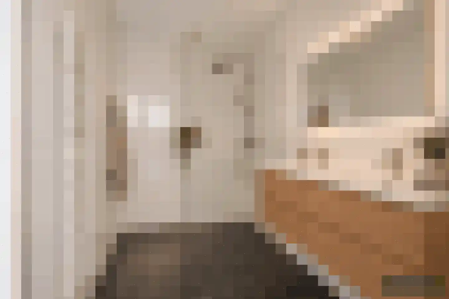 Pieter Vreedeplein 38 Tilburg thumbnail 23