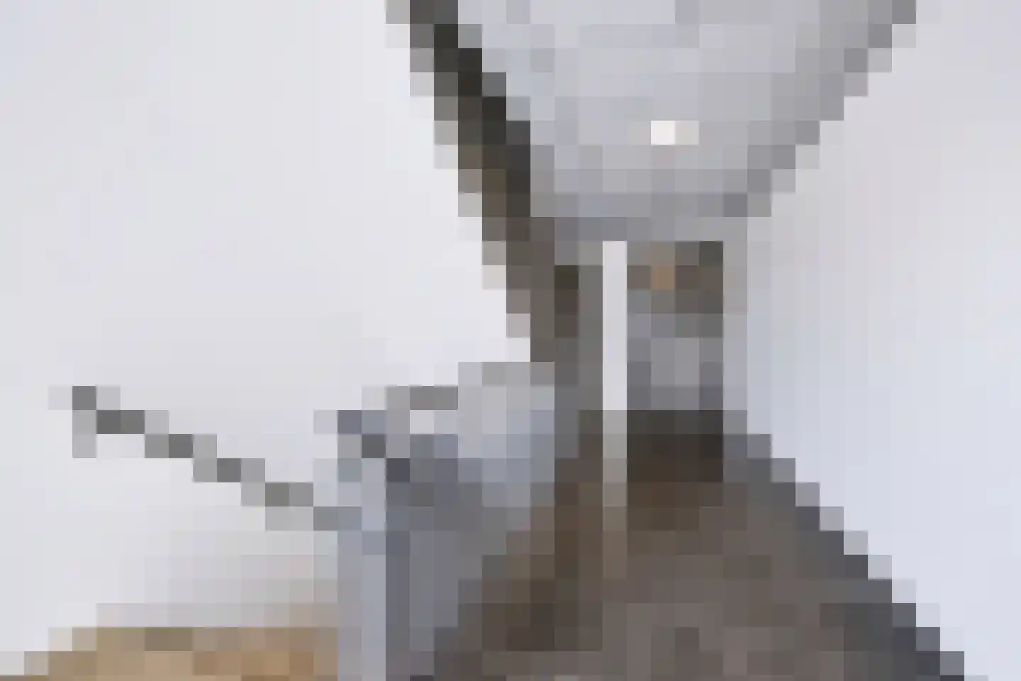 Pieter Vreedeplein 38 Tilburg thumbnail 28
