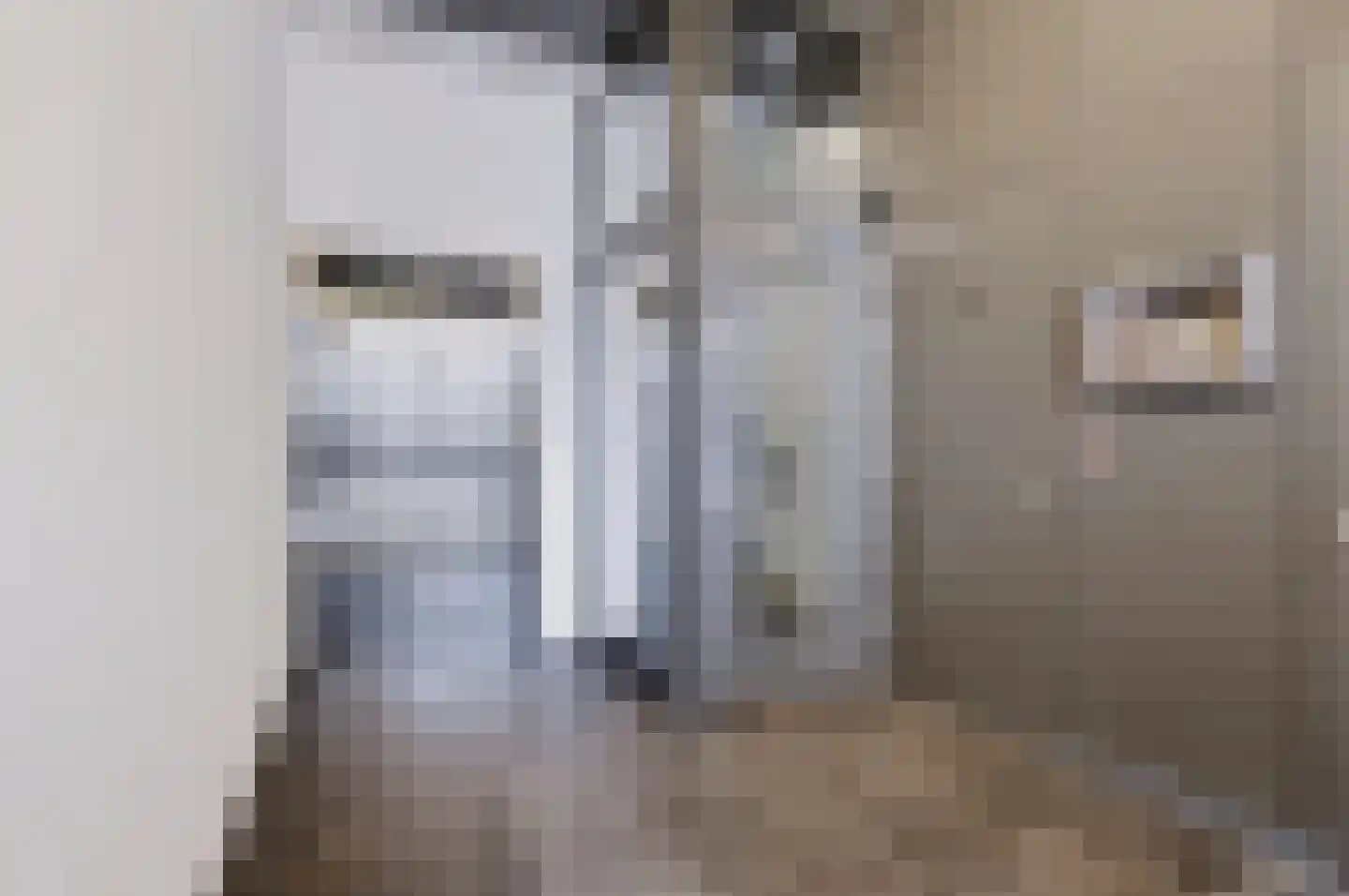 Pieter Vreedeplein 38 Tilburg thumbnail 30