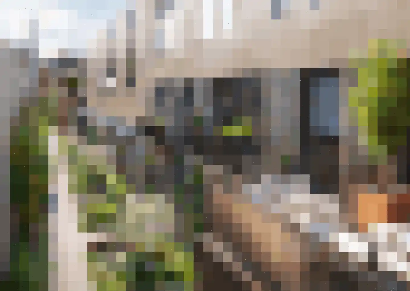 Pieter Vreedeplein 38 Tilburg thumbnail 37