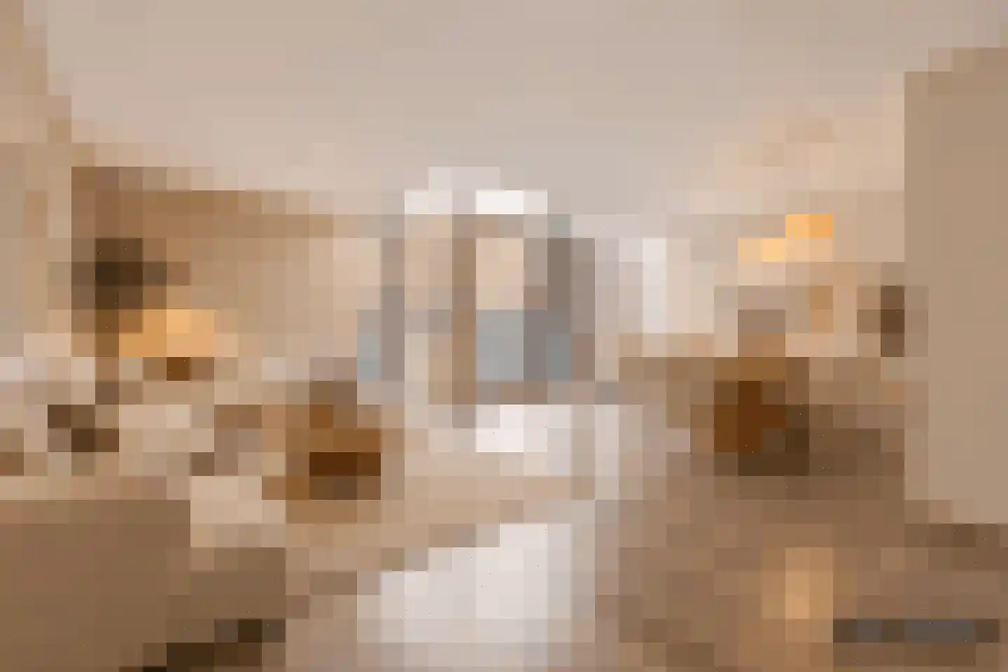 Pieter Vreedeplein 38 Tilburg thumbnail 6